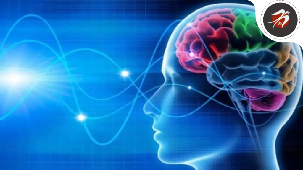 دژاوو یا آشنا پنداری چیست و چگونه اتفاق می‌افتد؟